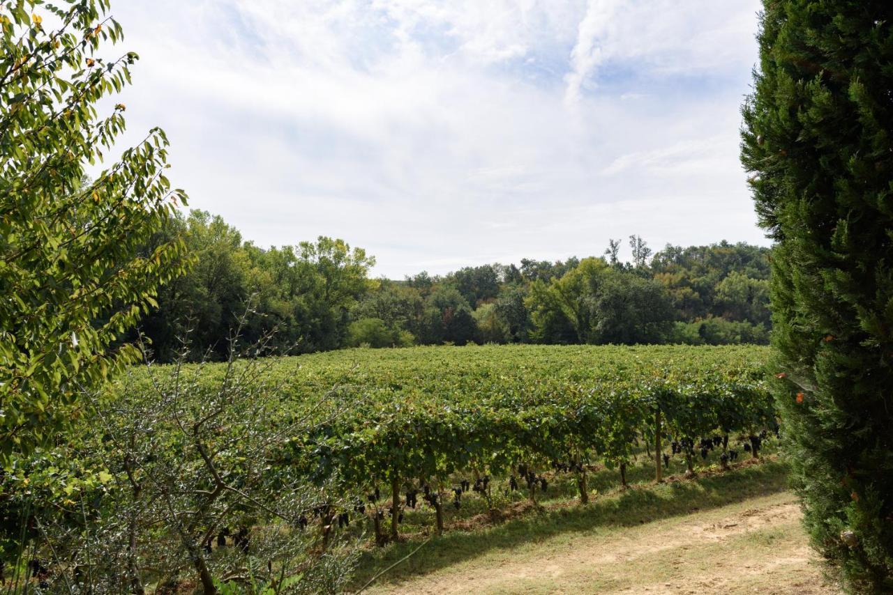 Il Molinaccio Di Montepulciano Villa Eksteriør billede